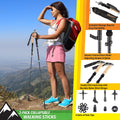 Hiking Trekking Poles - Black