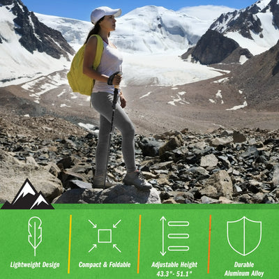 Hiking Trekking Poles - Black